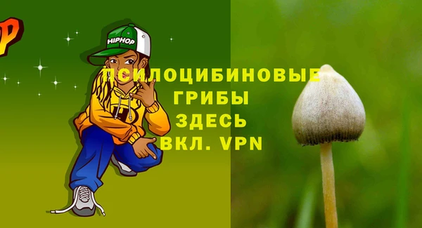 шишки Магас