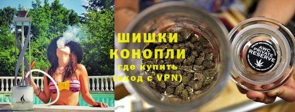 шишки Магас