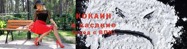 дживик Лагань